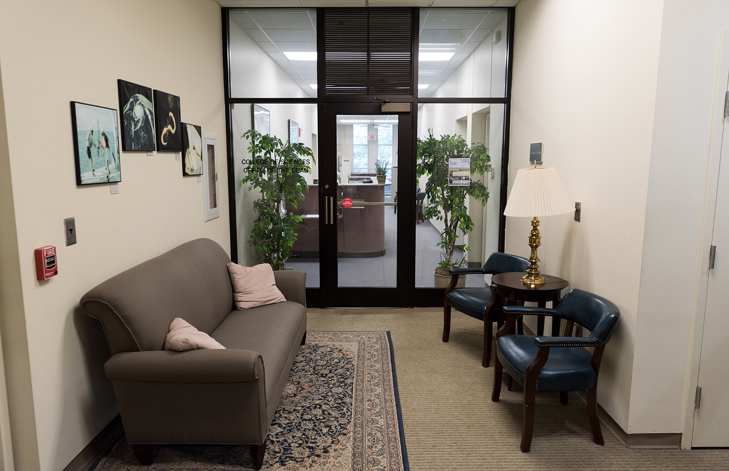 college of sciences old entrance