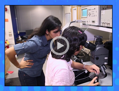 Nazanin Bassiri Gharb video