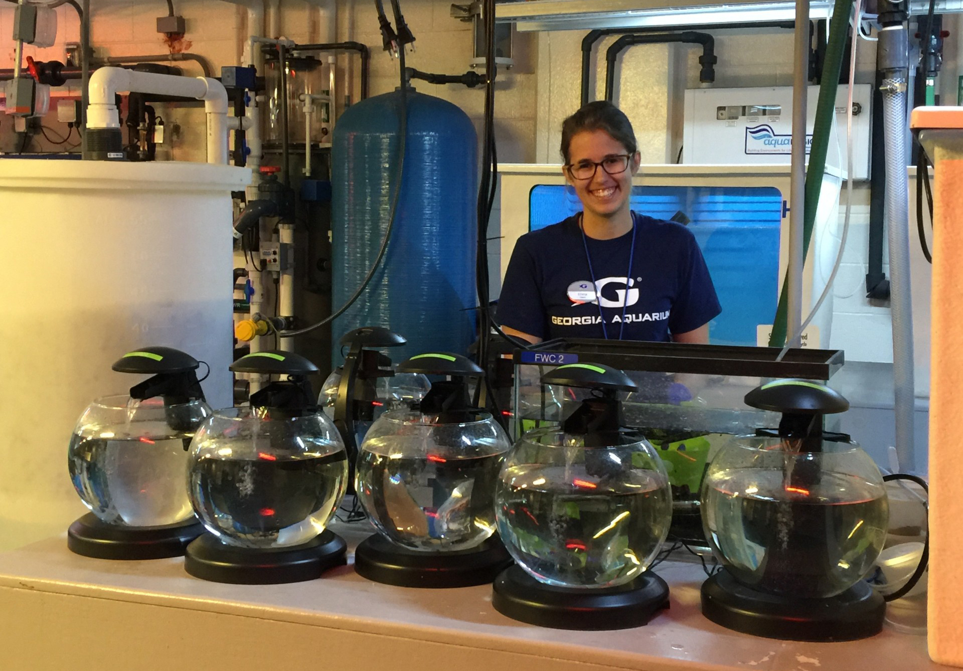 Emma Siegfried at Georgia Aquarium