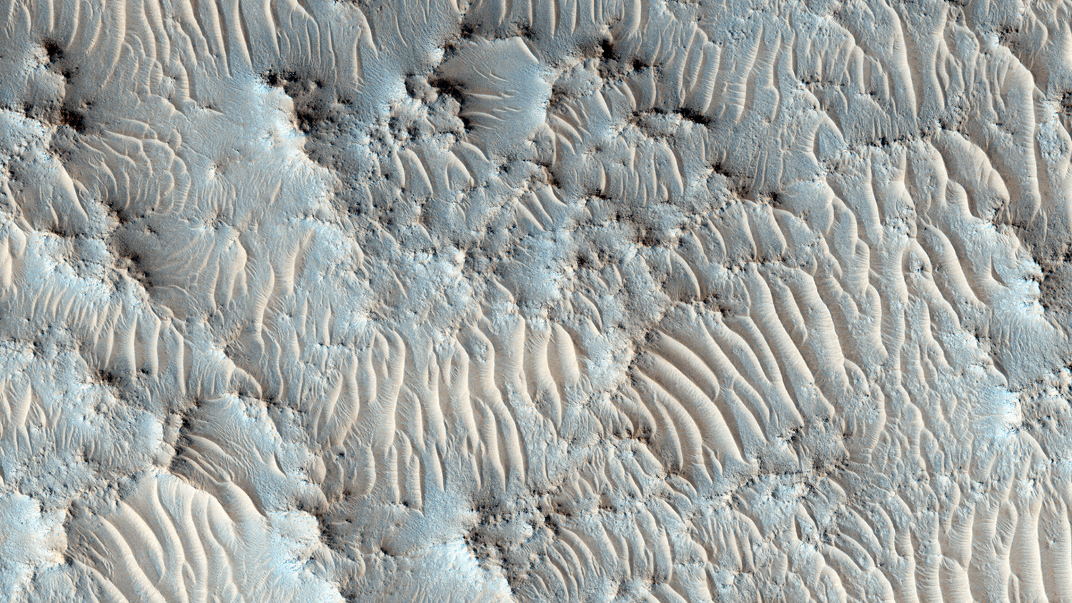 photo - closeup of surface of Mars