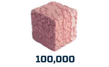 In one cubic millimeter of the cortex, there’s 100,000 neurons. That’s 100,000 microcircuits processing something. Humans have never made anything that complicated