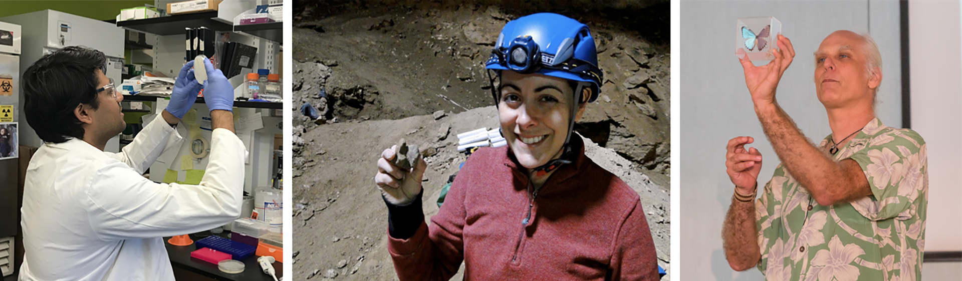 Sathya Balachander, Jenny McGuire, Marc Weissburg