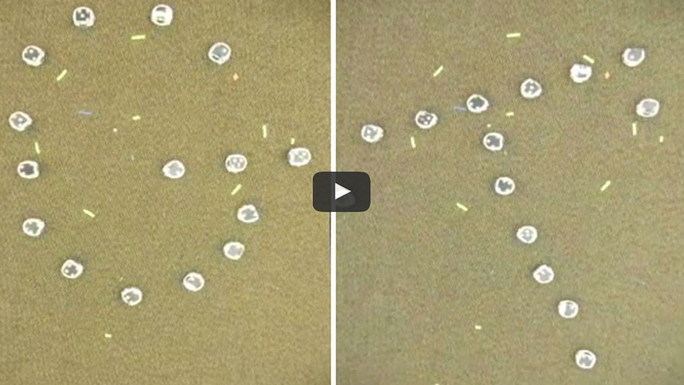 Multi-Robot Assignment and Formation Control by Georgia Tech GRITS lab