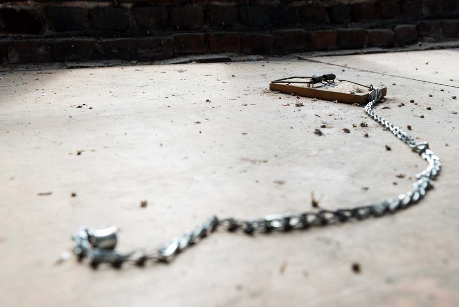 A mousetrap is chained to the floor.
