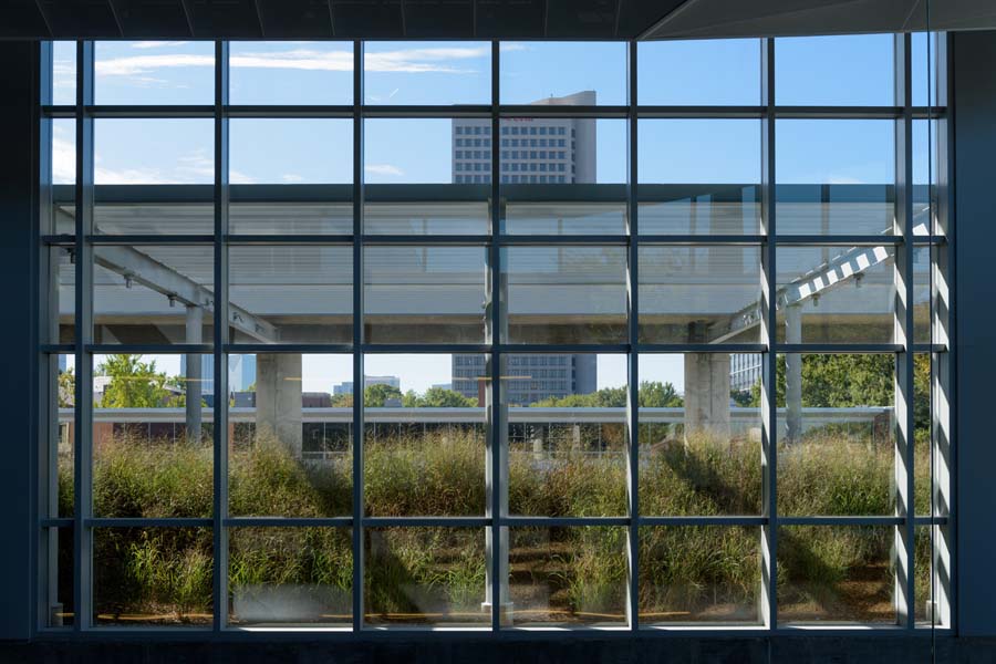 View of the rooftop garden from inside Clough Commons, with Coca-Cola headquarters in the distance.