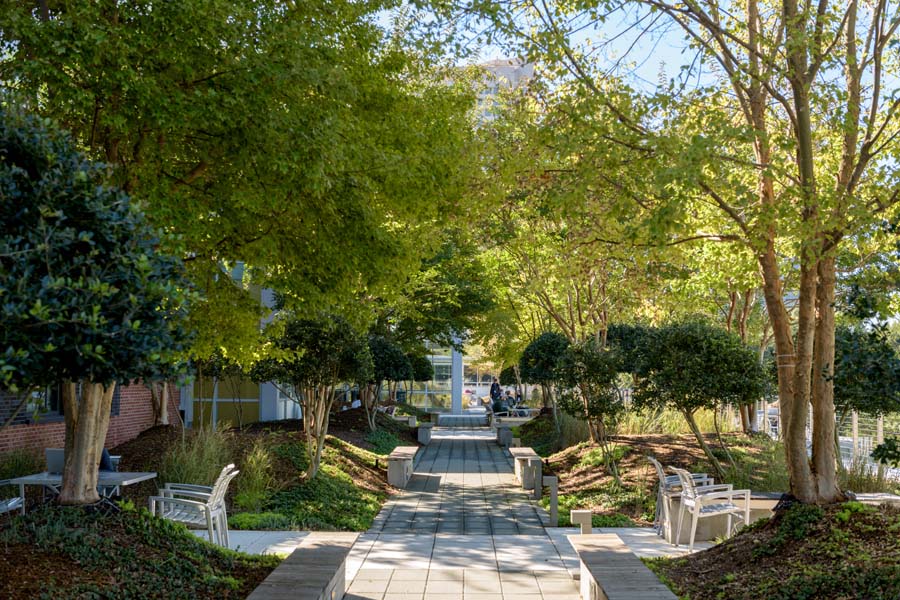 The rooftop garden of Clough Commons has built-in seating along the walkway.
