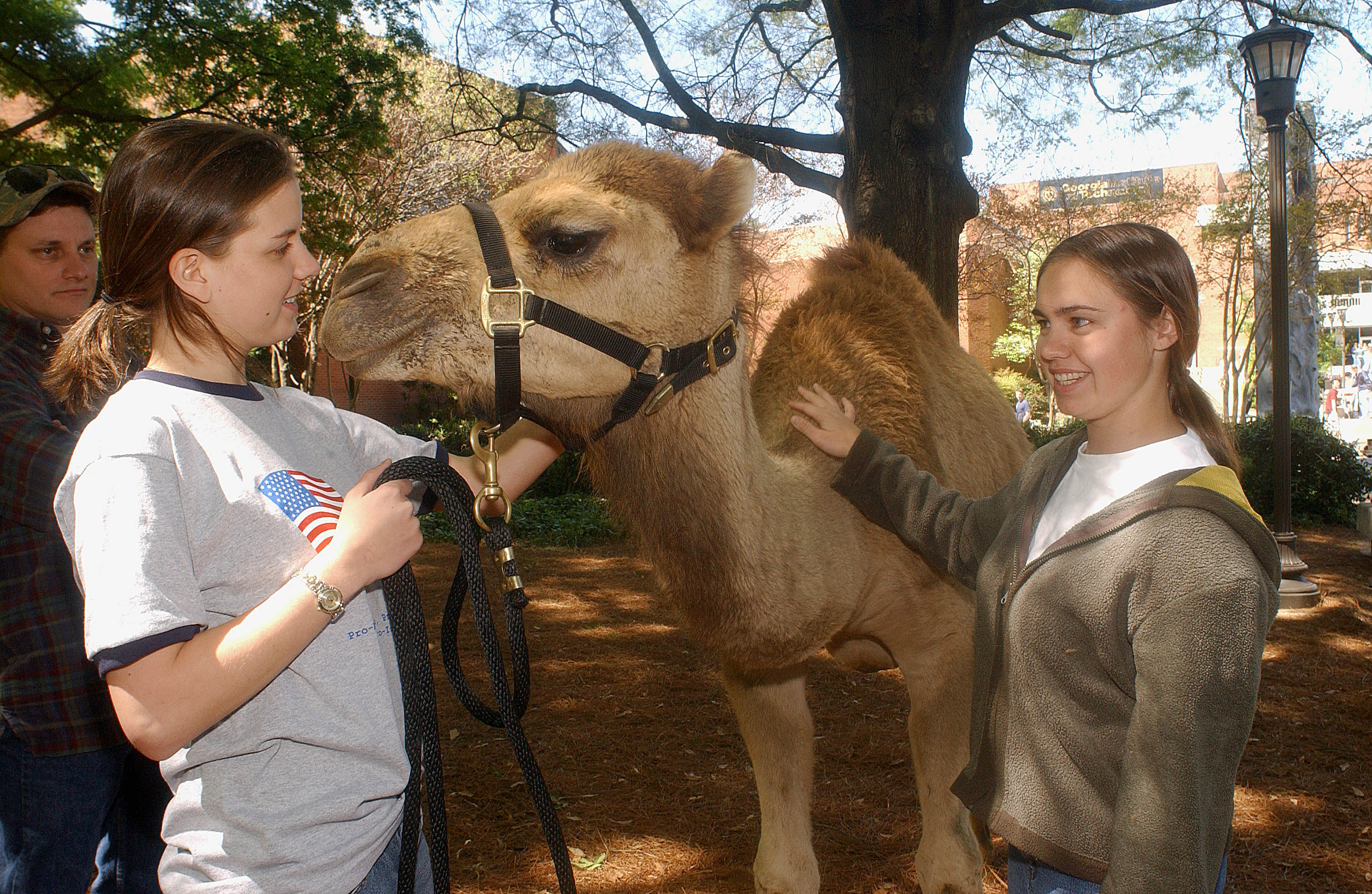 GT Hillel hosts Israel Fest each year to raise awareness about Israeli culture, including bringing a live camel to socialize with students.