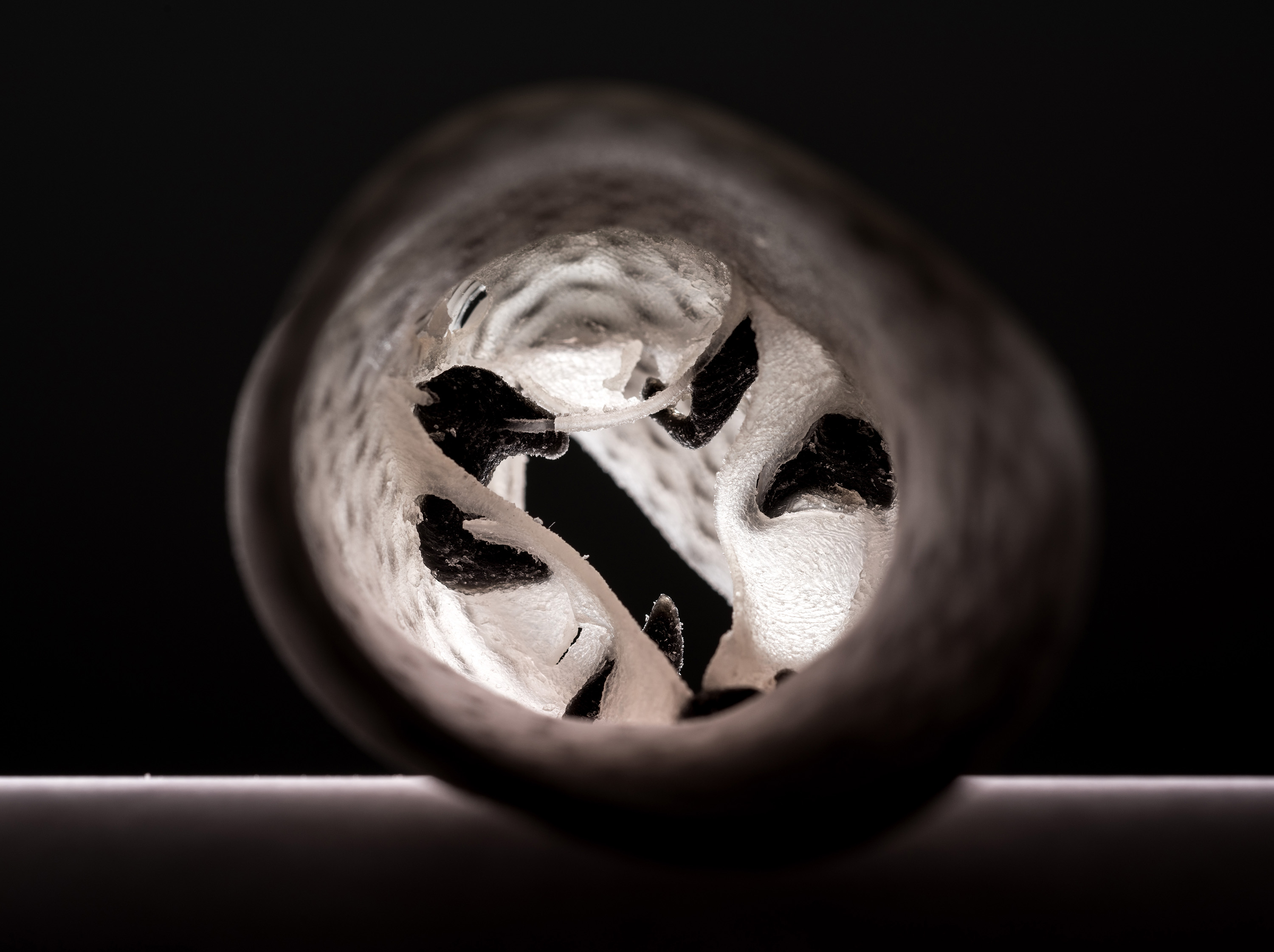 Inside the 3-D printed model of a human heart valve, black regions represent the location of actual calcium deposits. (Credit: Rob Felt, Georgia Tech)