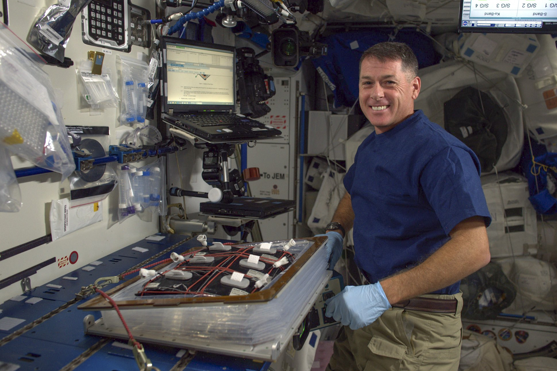 Shane Kimbrough planted an on-orbit crop of red romaine lettuce on October 25 while onboard the International Space Station. Courtesy: NASA