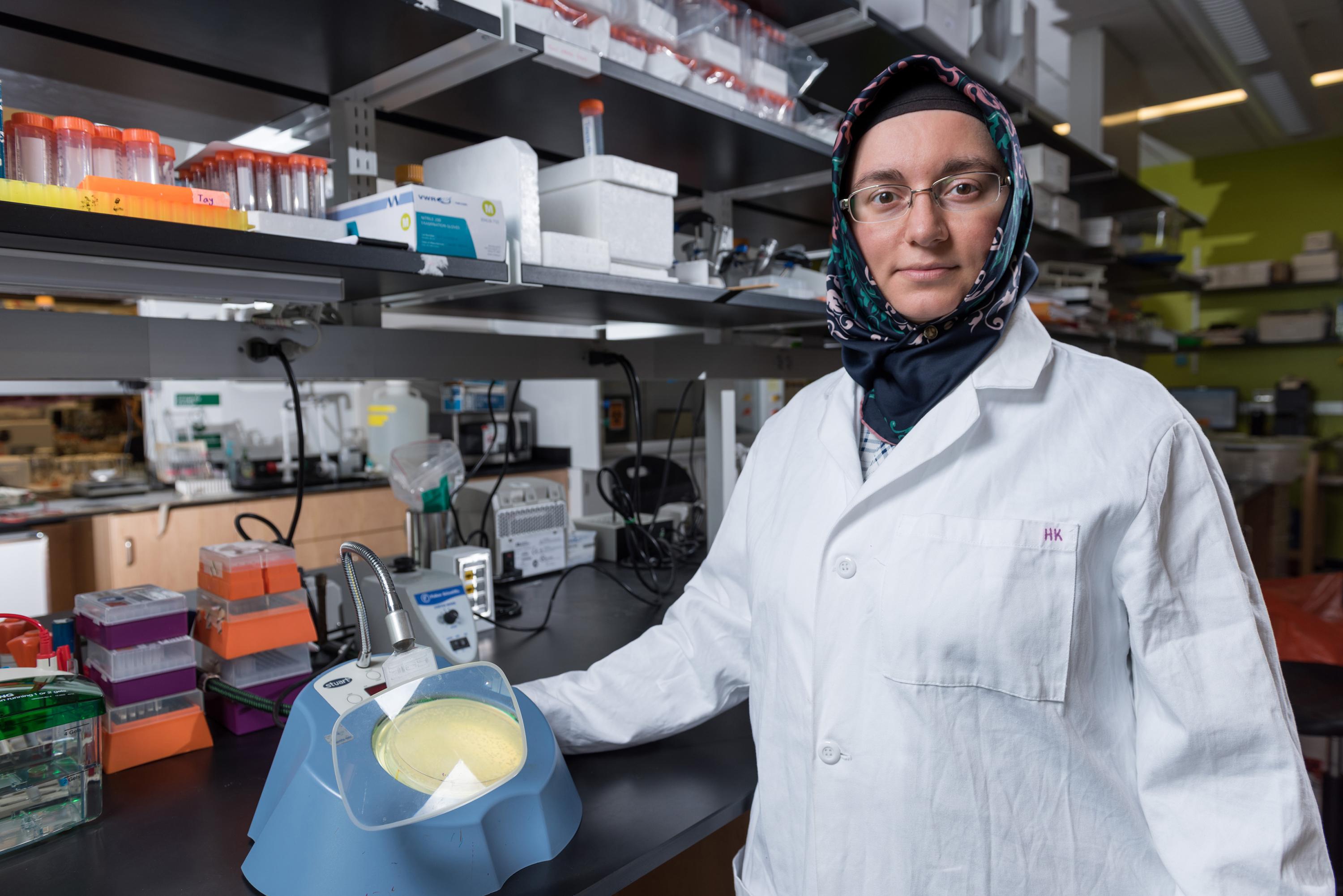 Georgia Tech researcher Havva Keskin observes the frequencies of RNA-templated DNA repair in yeast cells. (Credit: Rob Felt, Georgia Tech)

 