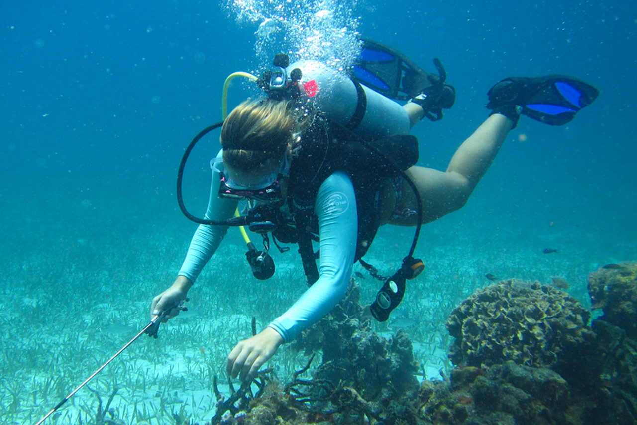 Molly Reichert spearfishing at the Carrie Bow Cay island research station in Belize. Photo: Danielle Dixson.