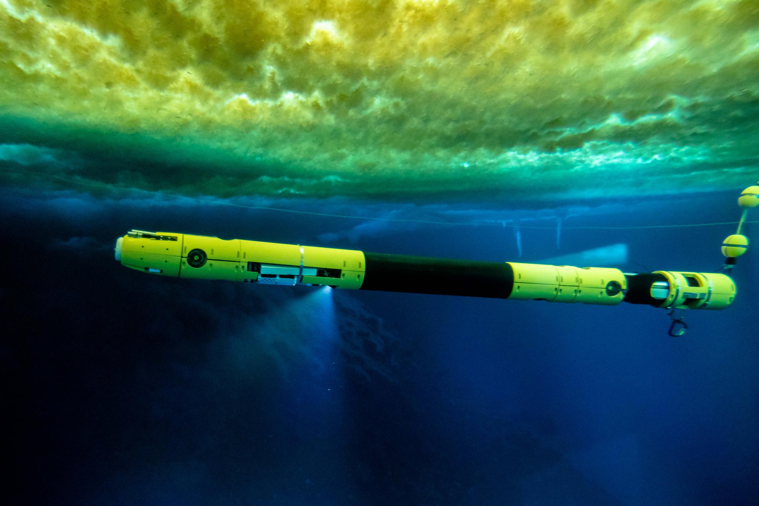 Icefin swimming under the sea ice near McMurdo station, Antarctica. This image was taken from the observation tube. Credit: RISEUP/J.Lawrence