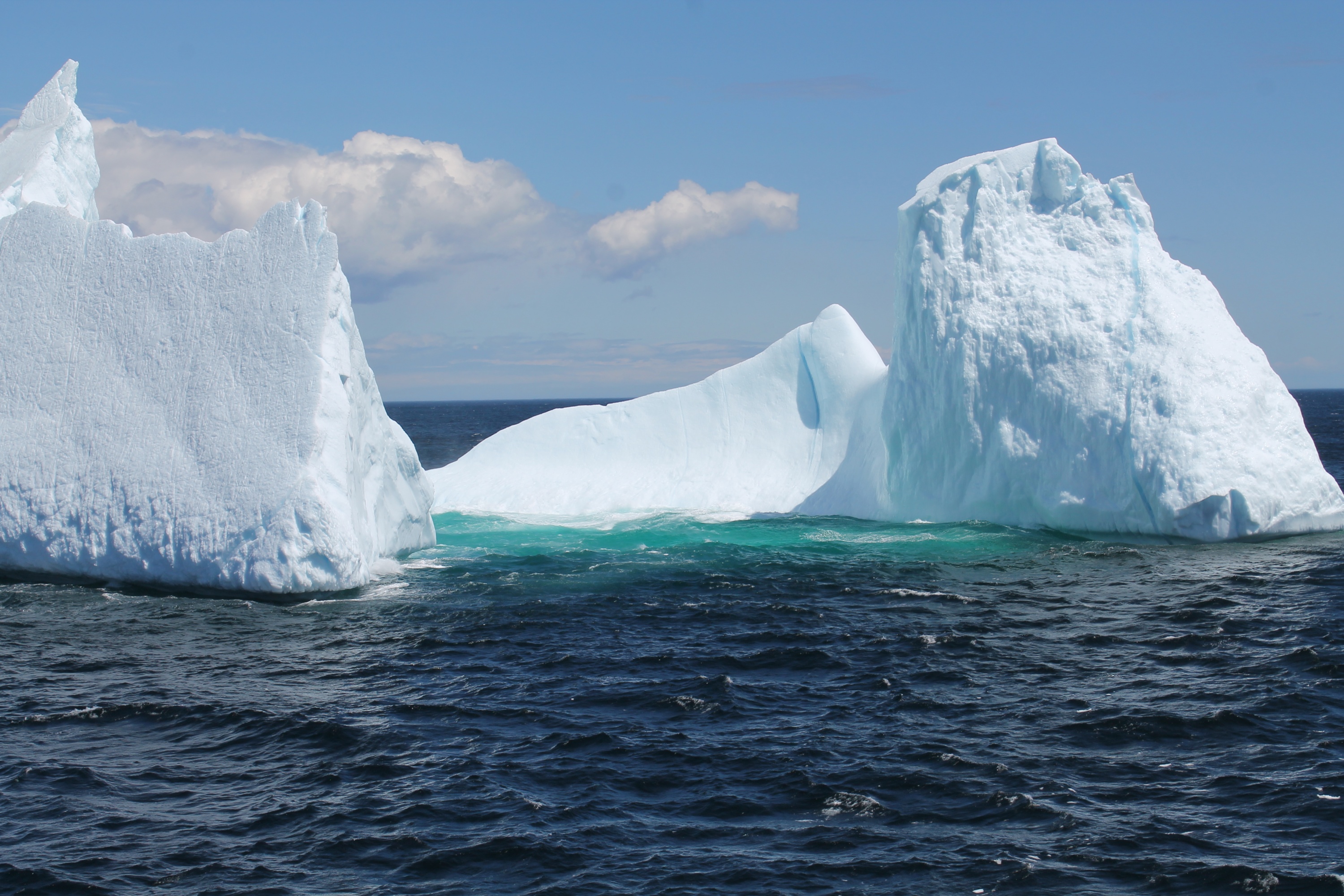 Icebergs in the Labrador Sea off the coast of Greenland (photo by Filippos Tagklis, a graduate student in the School of Earth and Atmospheric Sciences).