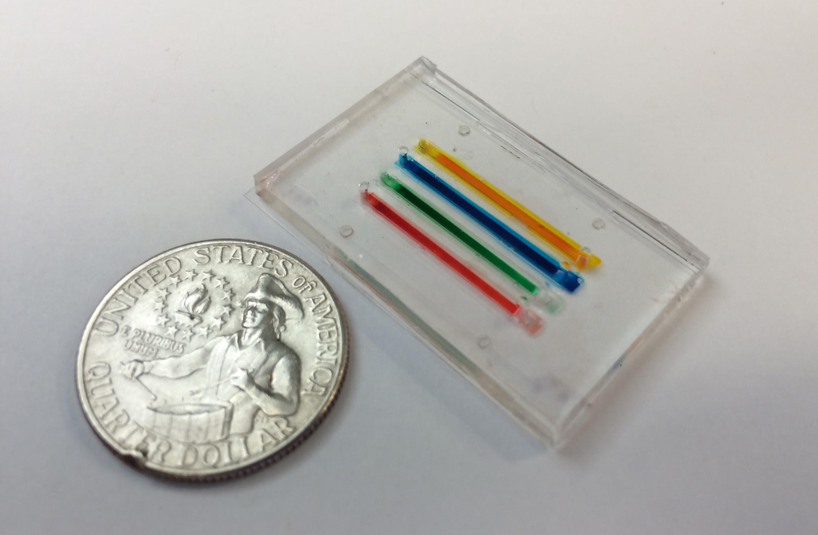 Biomedical engineers from Emory and Georgia Tech have devised a microfluidic device for the diagnosis of bleeding disorders, in which platelets can demonstrate their strength by squeezing two protein dots together using this device.

Photo credit: Emory University / Georgia Tech