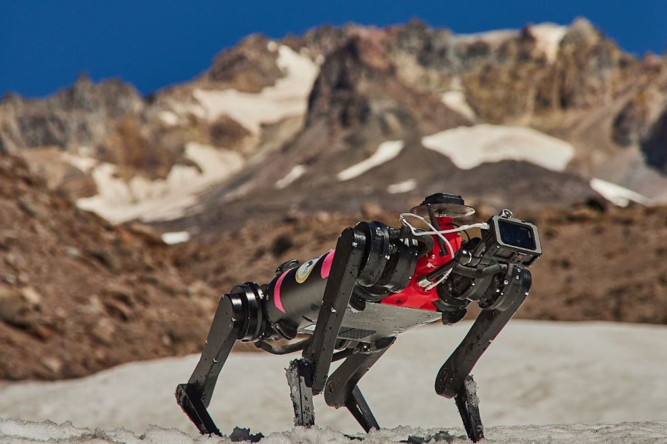 The LASSIE Project’s robot, dubbed Spirit, can “feel” and interpret surface force responses via leg-terrain interactions, assisting planetary scientists with data collection at Oregon’s Mount Hood, a lunar-analog site. (Justin Durner/LASSIE Project)