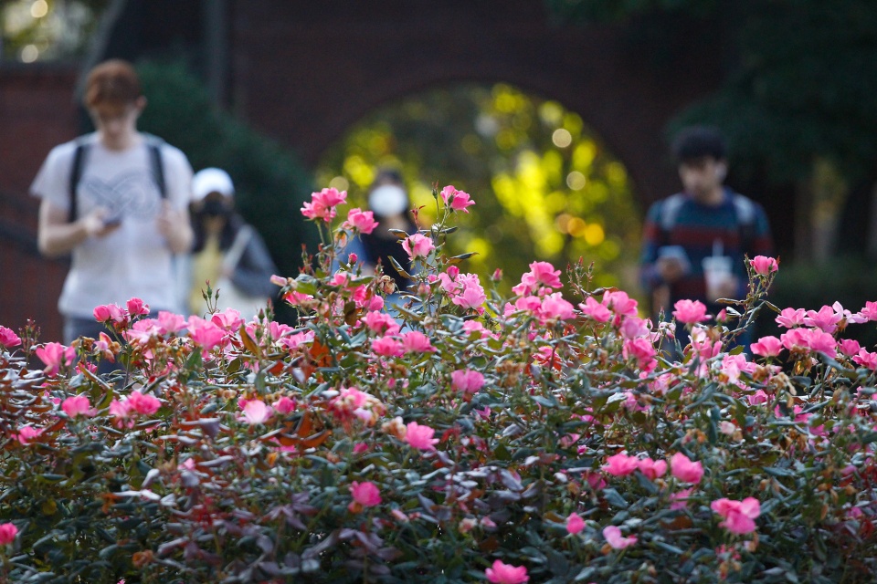 Students Walk on Campus During Springtime