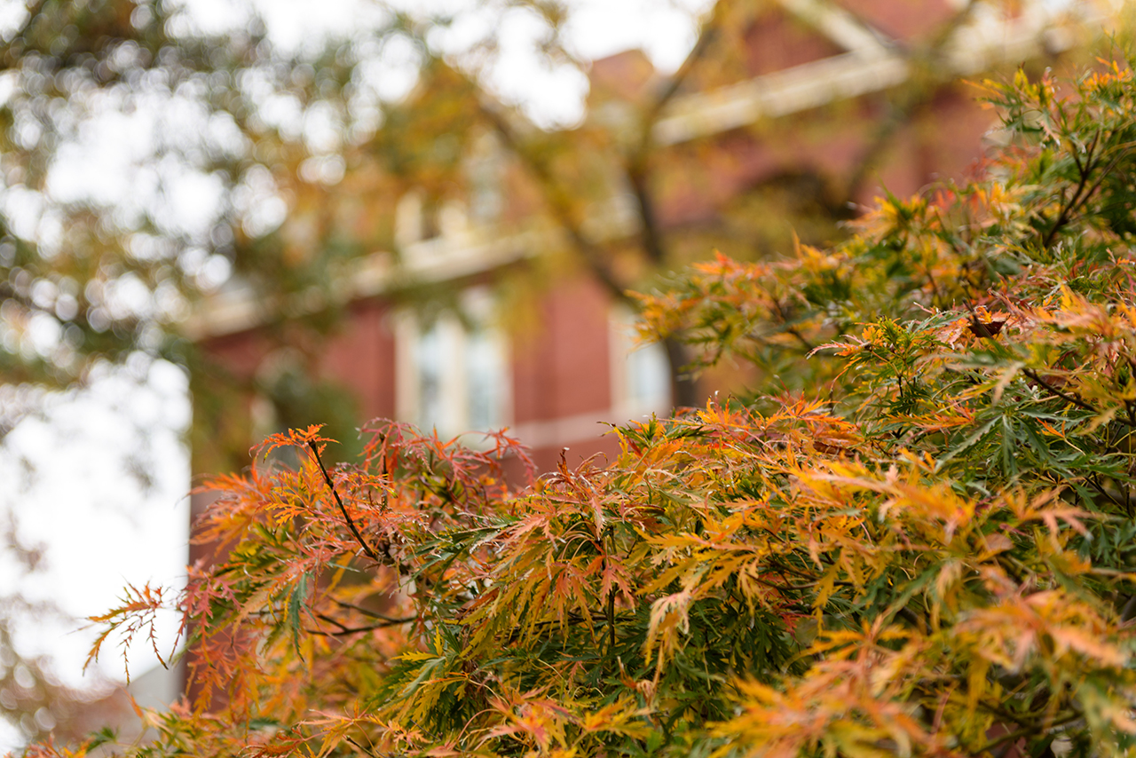 tech tower among leaves