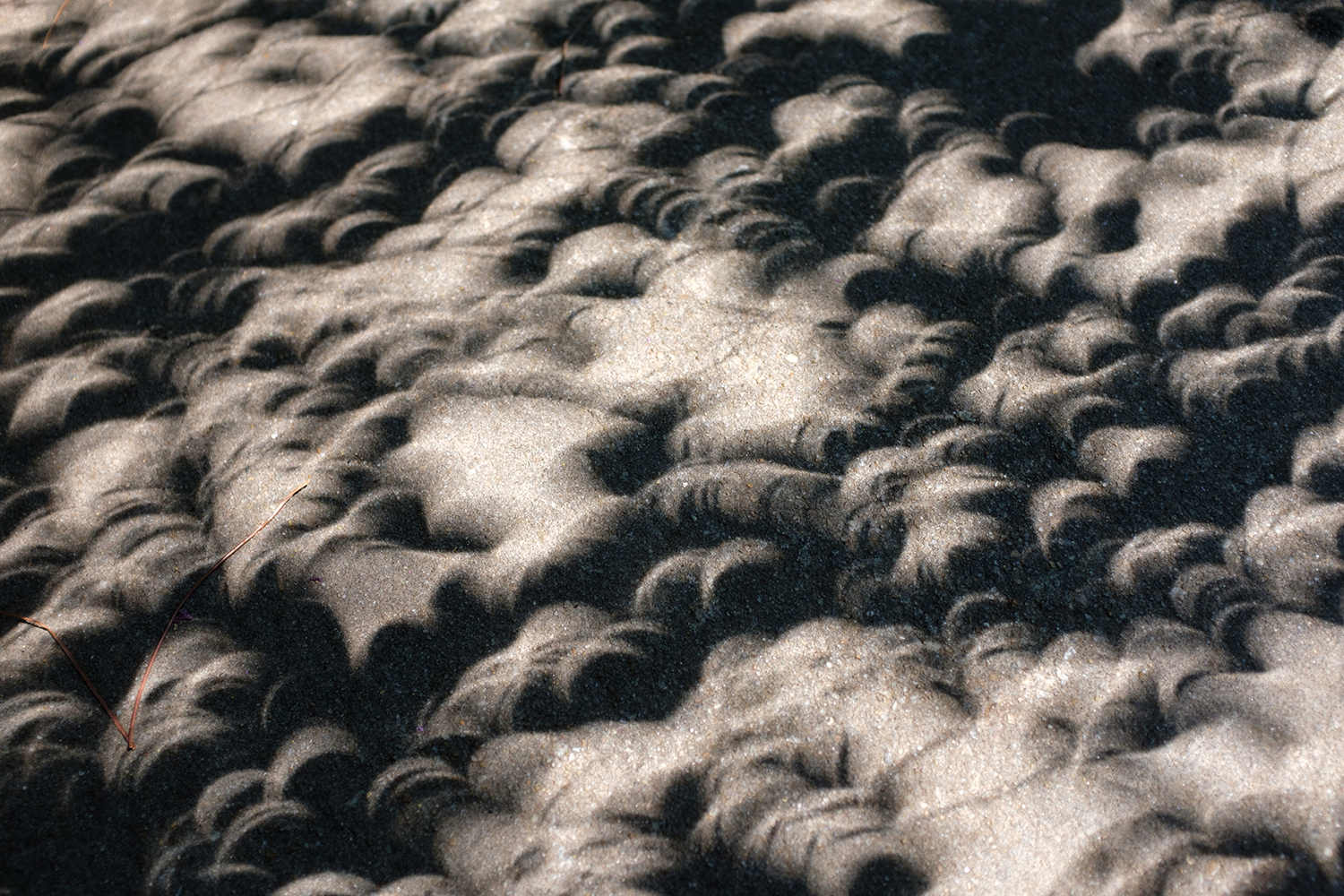 eclipse sidewalk