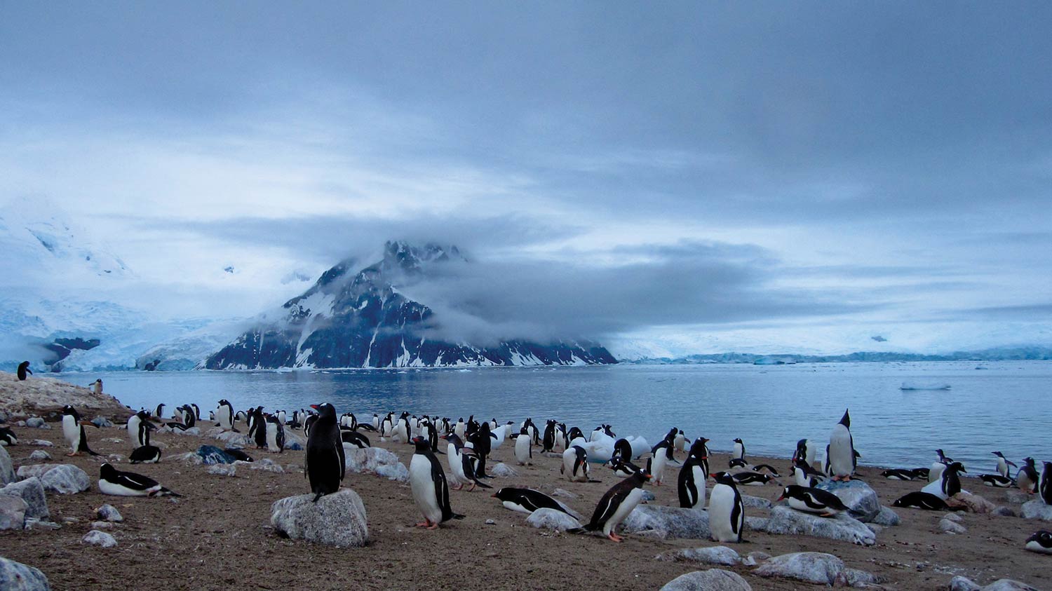 antarctica