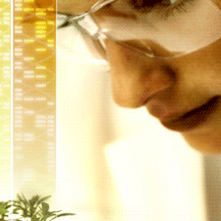 a female scientist looking at a plant.