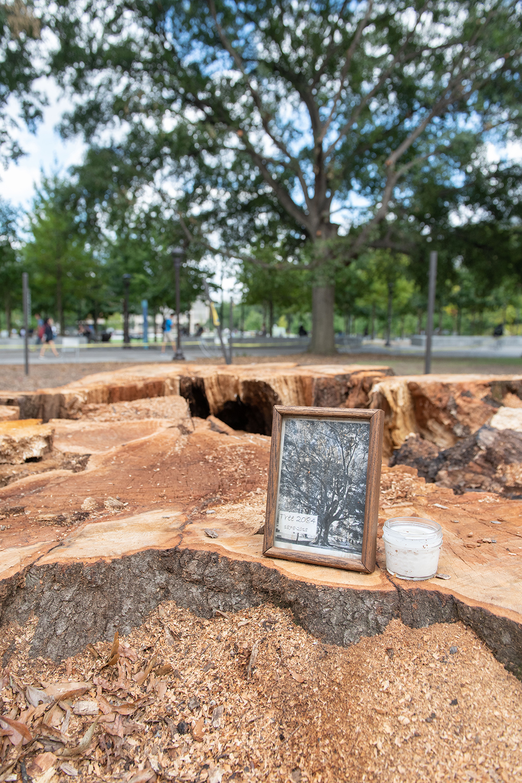 memorial at site of Big Al