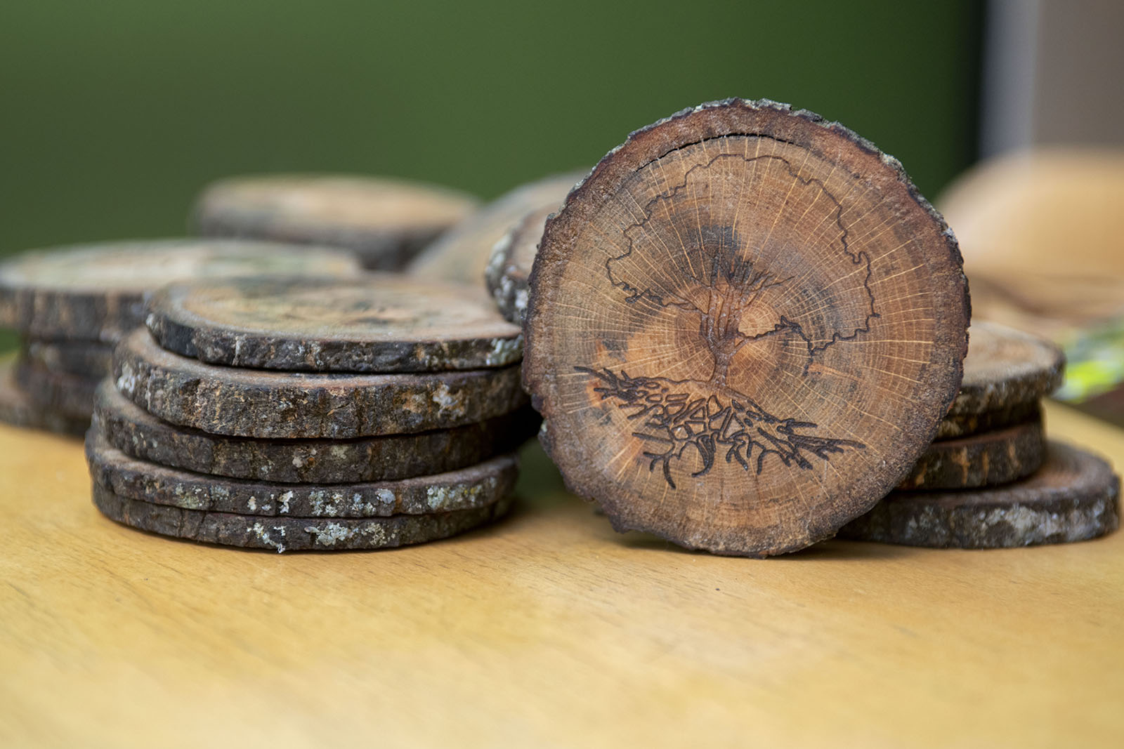 fall of a champion coasters