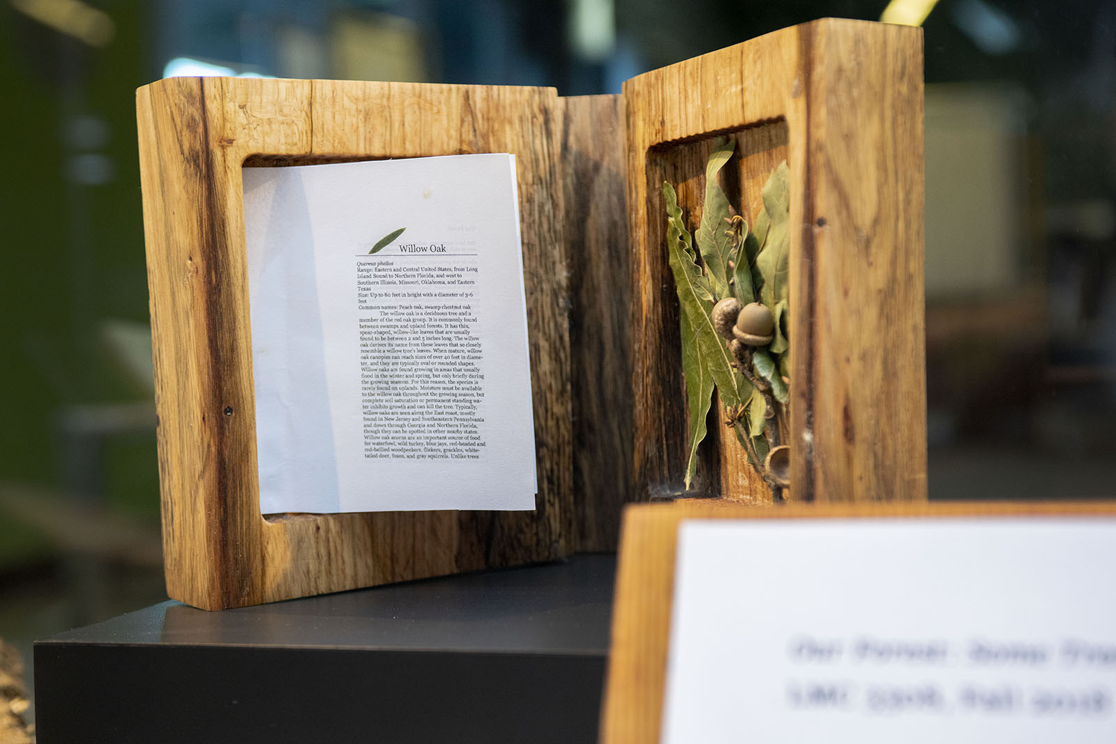 xylotque - a book made with a cover made of trees