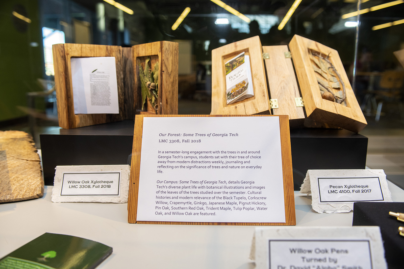 description of "our forest" book