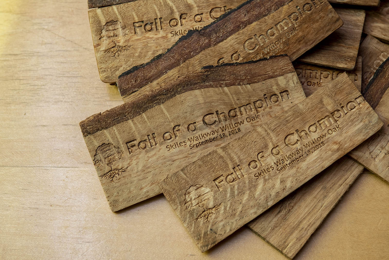 fall of a champion bookmark