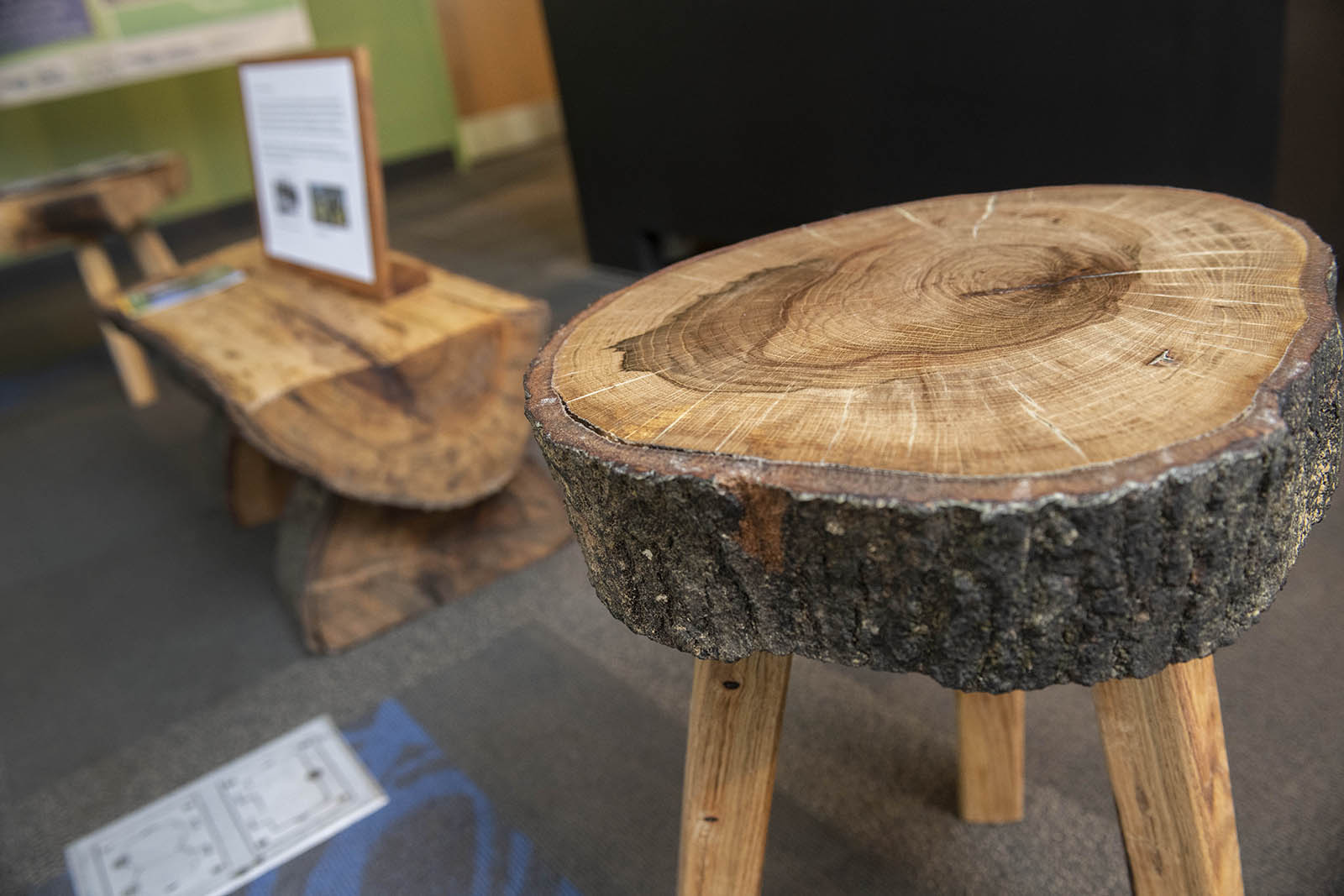 bench made from campus tree