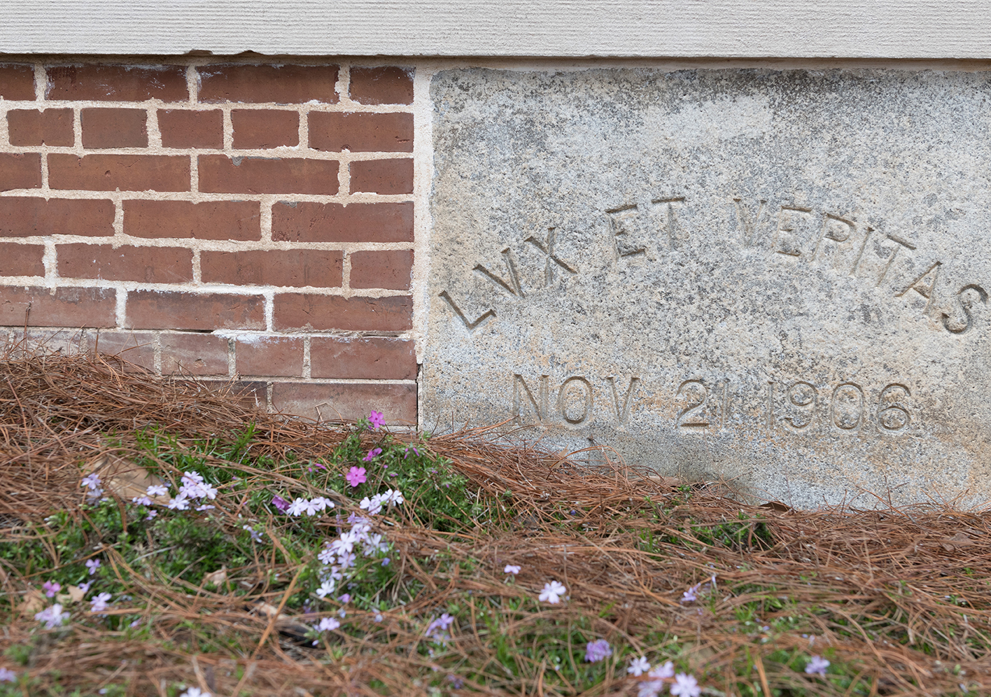 carnegie cornerstone
