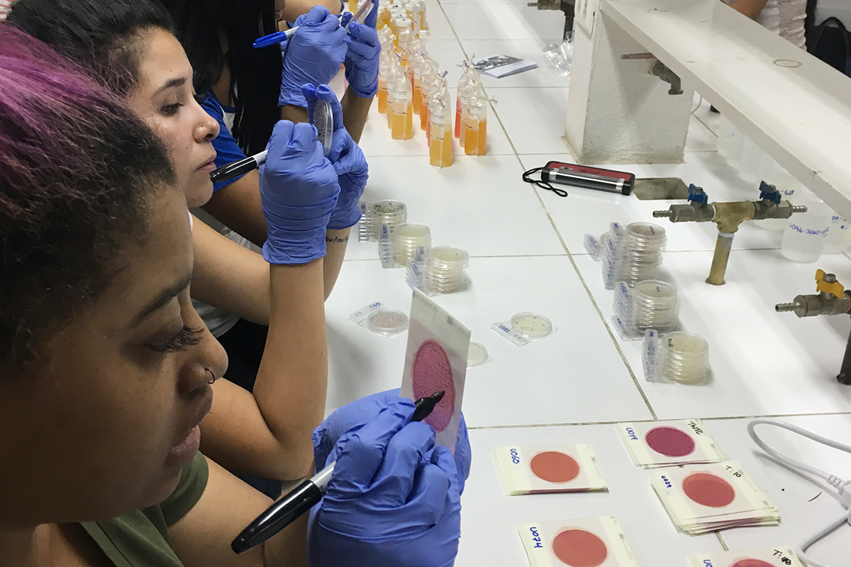 Students counting bacterial colonies on petri dishes