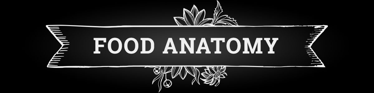 text - Food Anatomy