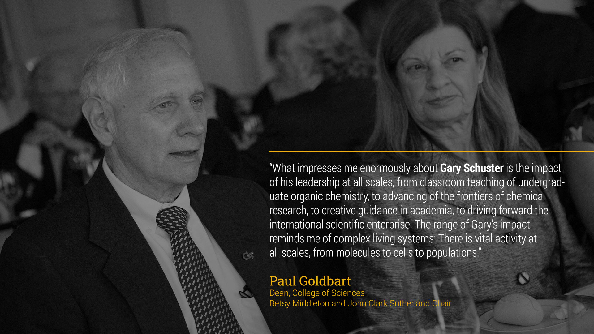 text - “What impresses me enormously about Gary is the impact of his leadership at all scales, from classroom teaching of undergraduate organic chemistry, to advancing of the frontiers of chemical research, to creative guidance in academia, to driving forward the international scientific enterprise. The range of Gary’s impact reminds me of complex living systems: there is vital activity at all scales, from molecules to cells to populations.”  Paul Goldbart  Dean, College of Sciences  Betsy Middleton and John Clark Sutherland Chair