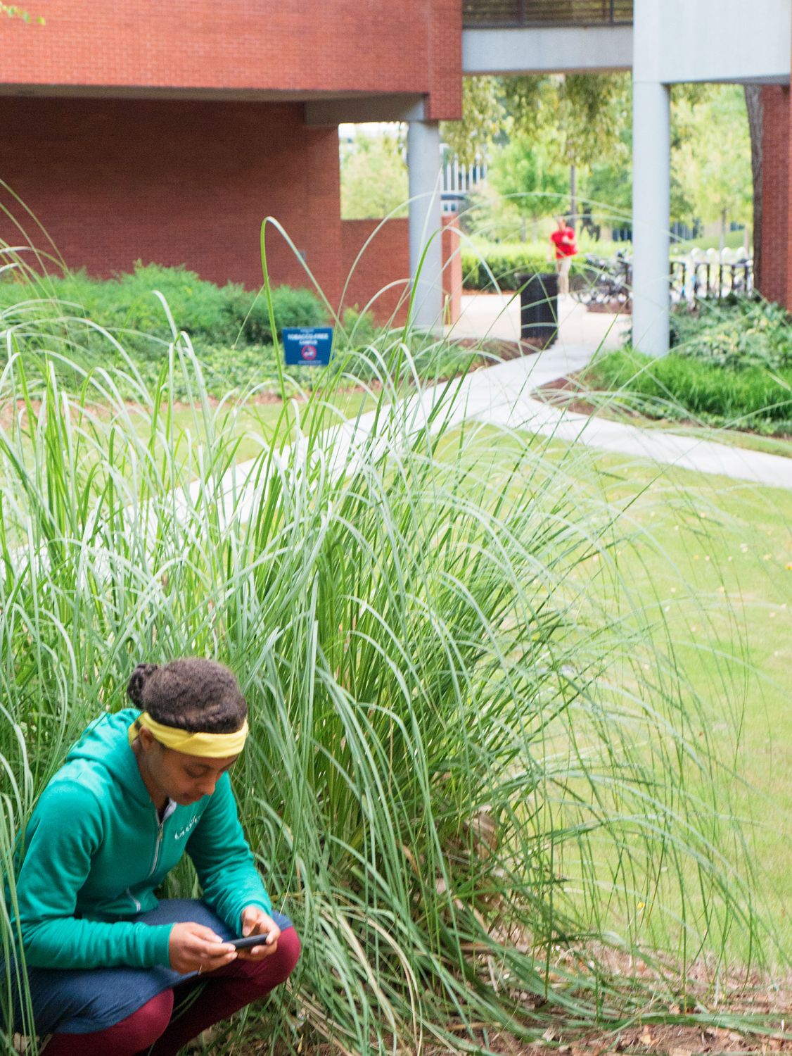 Zombie player crouches behind tall grass and uses cell phone to text other player