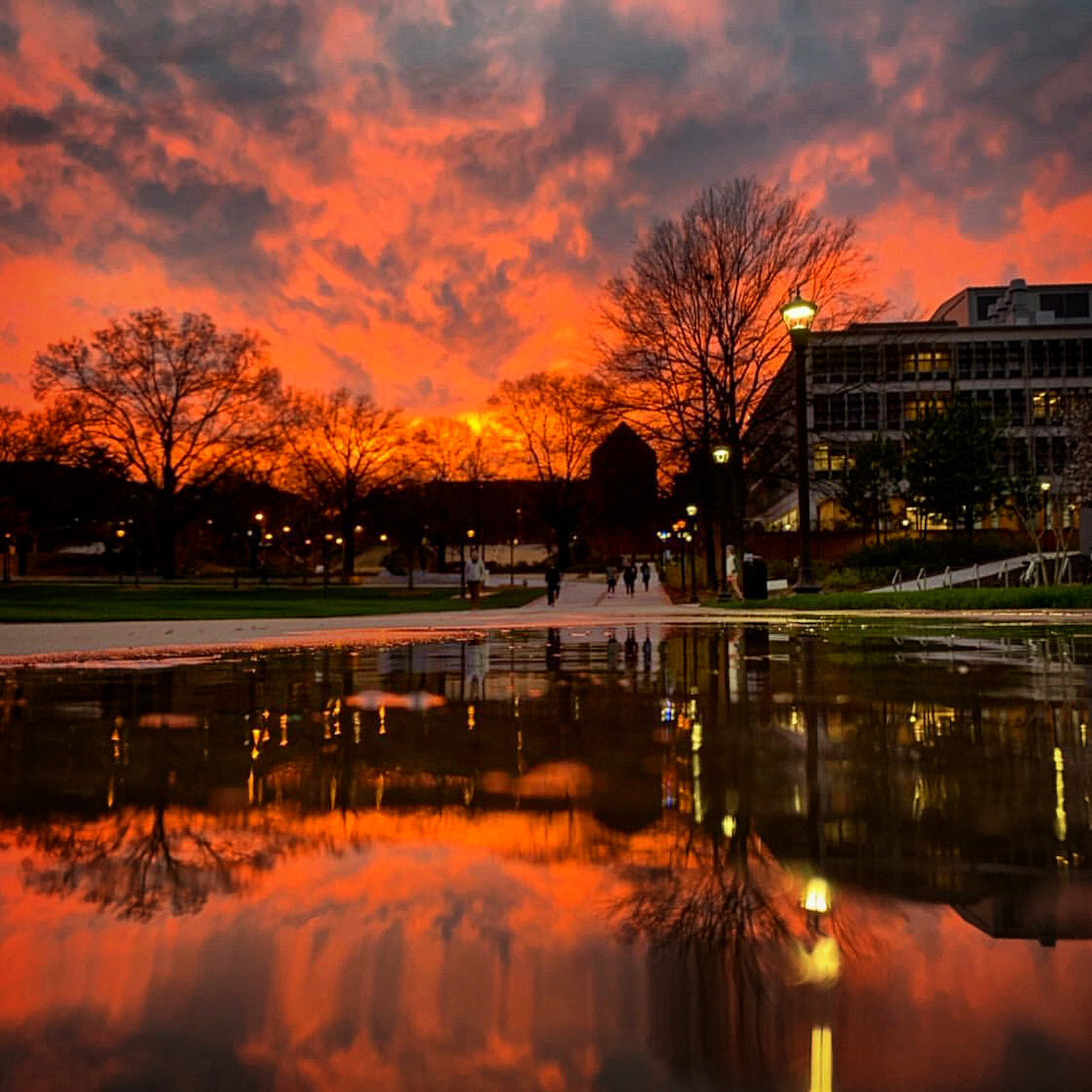 campus sunset