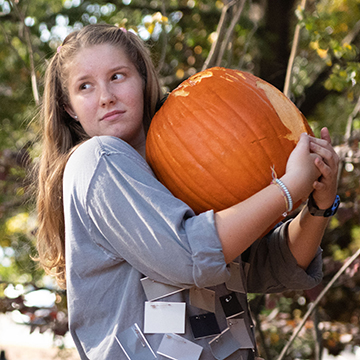 physics pumpkin smash