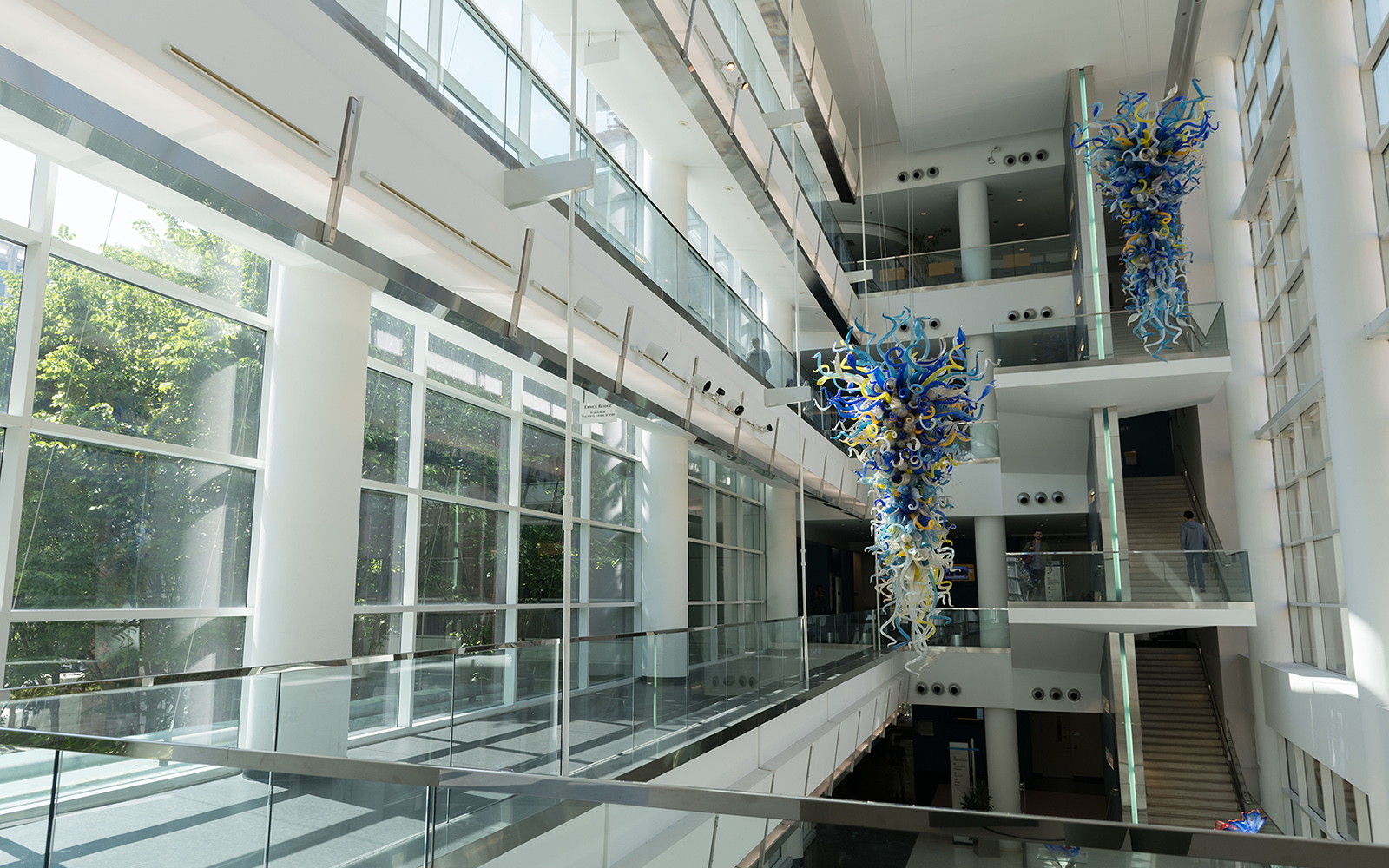 chihuly chandeliers in scheller