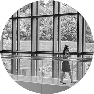 Tech: The Land of Co-Opportunity