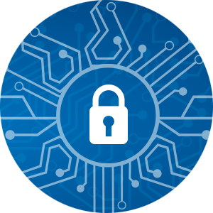 Surviving Cyberspace