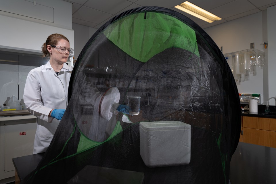 Alison Onstine, manager of the Biology Prep Lab, tests a fruit fly containment tent before students use it to try out their own custom-designed fly traps in BIOL 1220 Sex and Death.