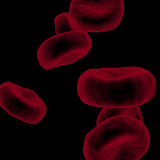 Red blood cells