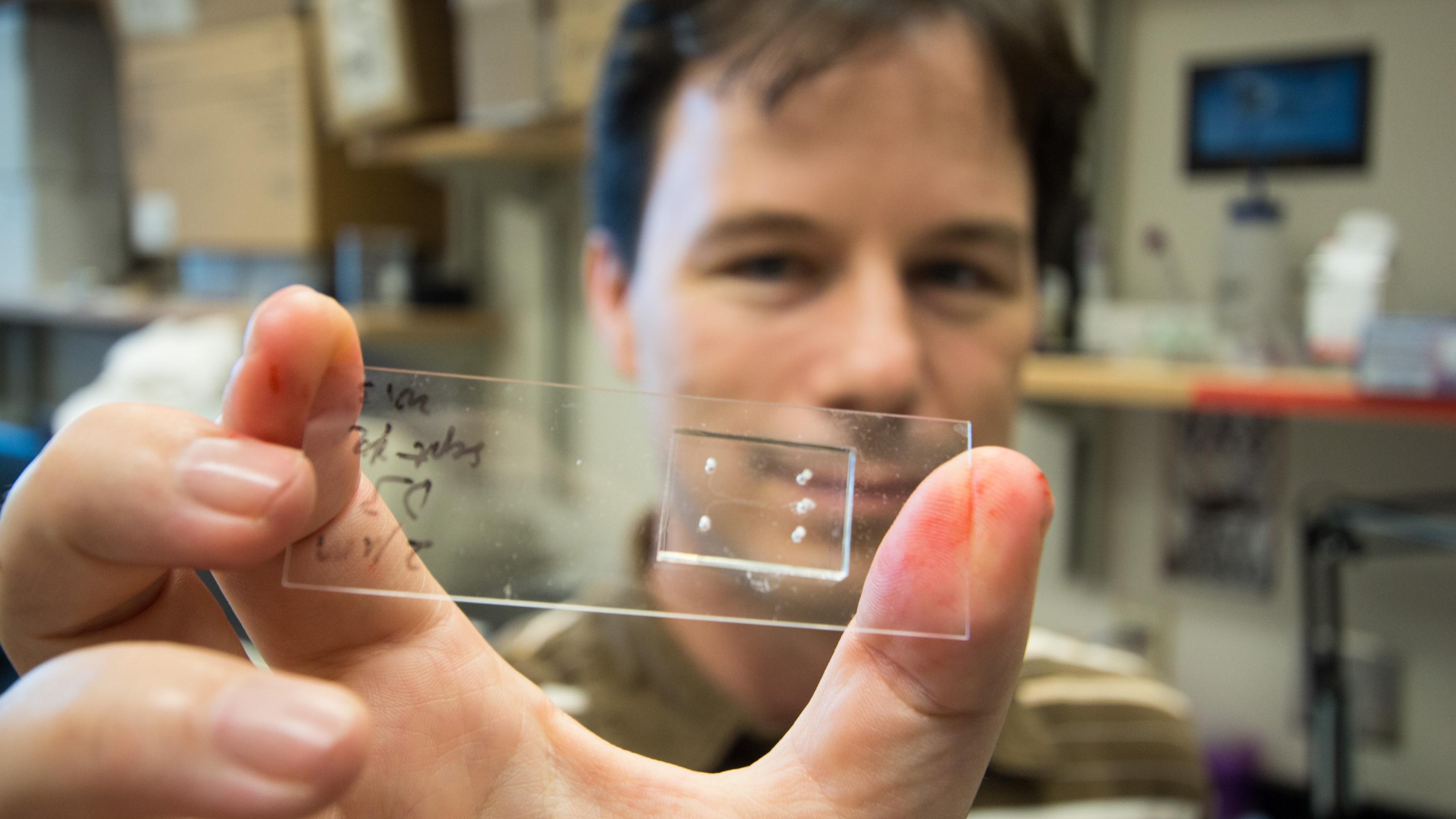 Todd Sulchek is an associate professor of mechanical engineering in Georgia Tech’s George W. Woodruff School of Mechanical Engineering. He's holding a microfluidic chip designed to sort cells based on their softness. (Credit: Maxwell Guberman, Georgia Tech)