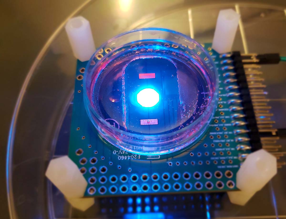 CMOS multi-modal cellular interface array chip in operation in a standard biology lab. CMOS multi-modal cellular interface array chip in operation in a standard biology lab.