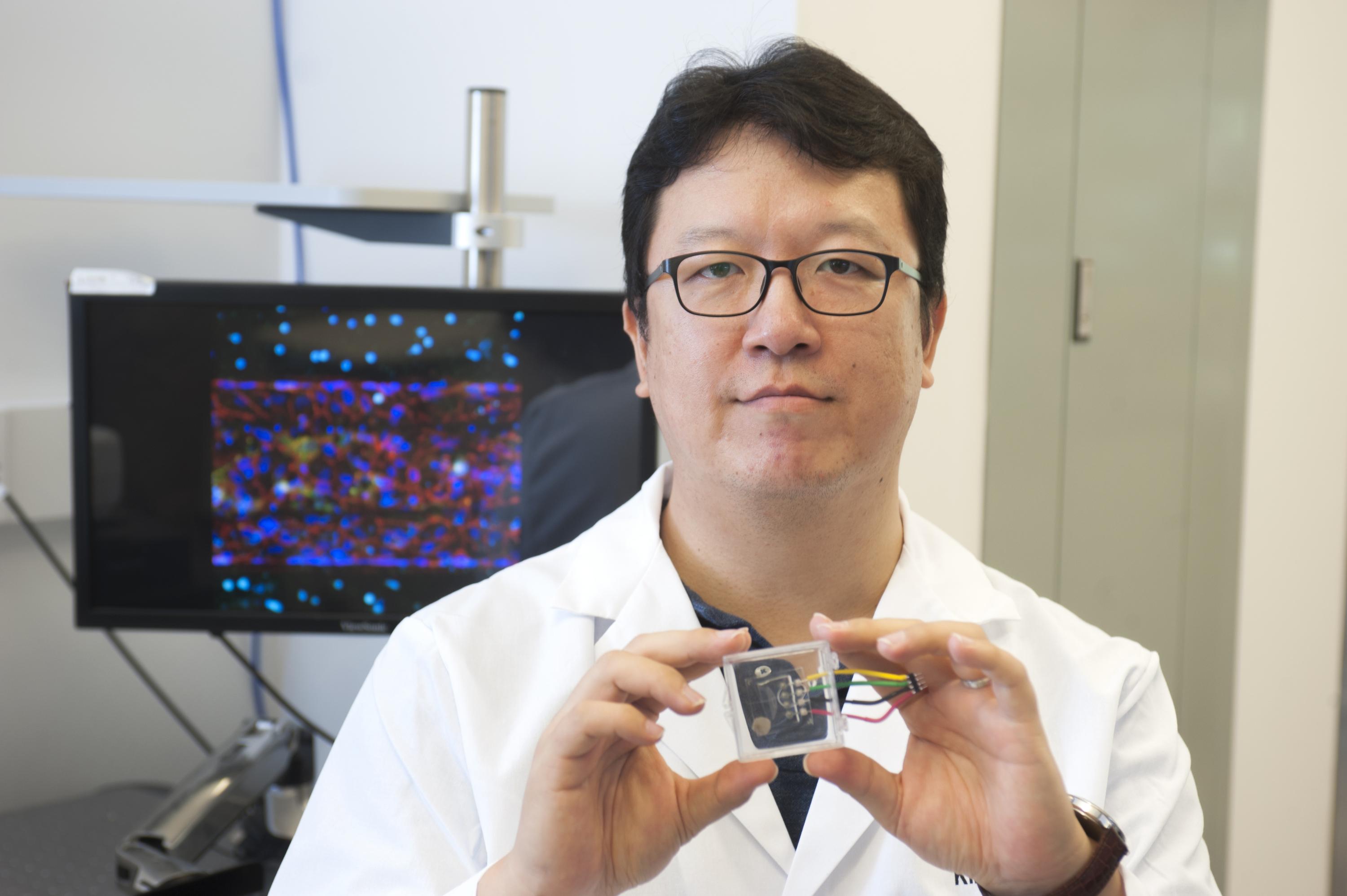 Georgia Tech biomedical engineering researcher YongTae "Tony" Kim led the development of the blood-brain-barrier on a chip. Here, be is holding up a microfluidic device that mimics a microvessel from other research. Kim is the recipient of the esteemed NIH Director's New Innovator Award for his proposal on high-throughput research to tackle new possible new treatments for atherosclerosis. Kim is also developing a human-coronary-artery-on-a-chip. Credit: Georgia Tech / Christopher Moore