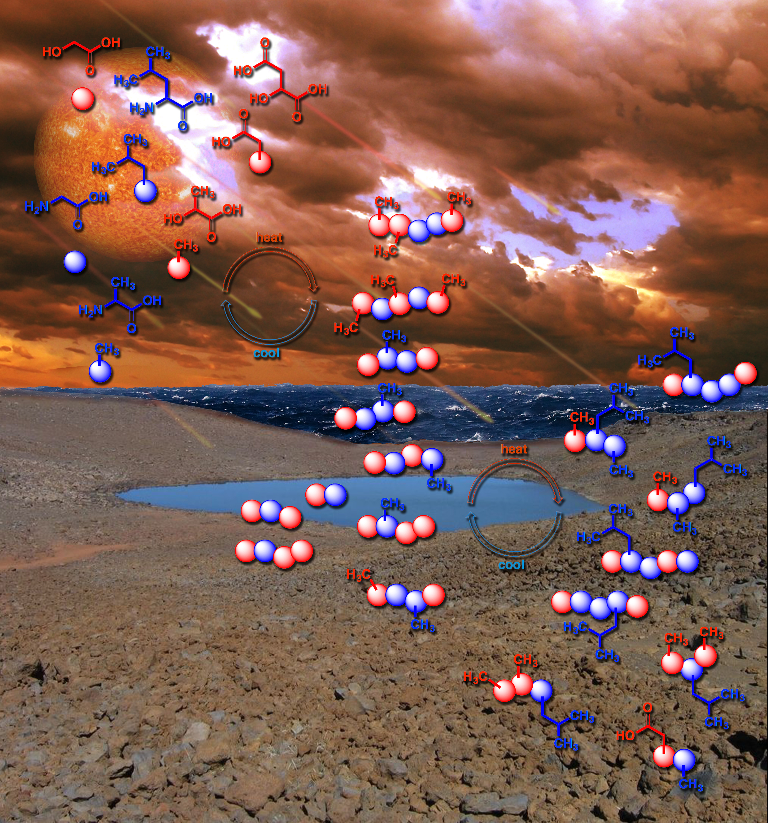 The first polymers of life may have arisen by a daily process still observed on Earth today, such as the repeated drying and refilling of pond water. Credit: Karl Magnacca, John Boyer/SXC, bearfotos/Freepik, Vecteezy.com, and NASA Goddard Photo and Video / Center for Chemical Evolution
