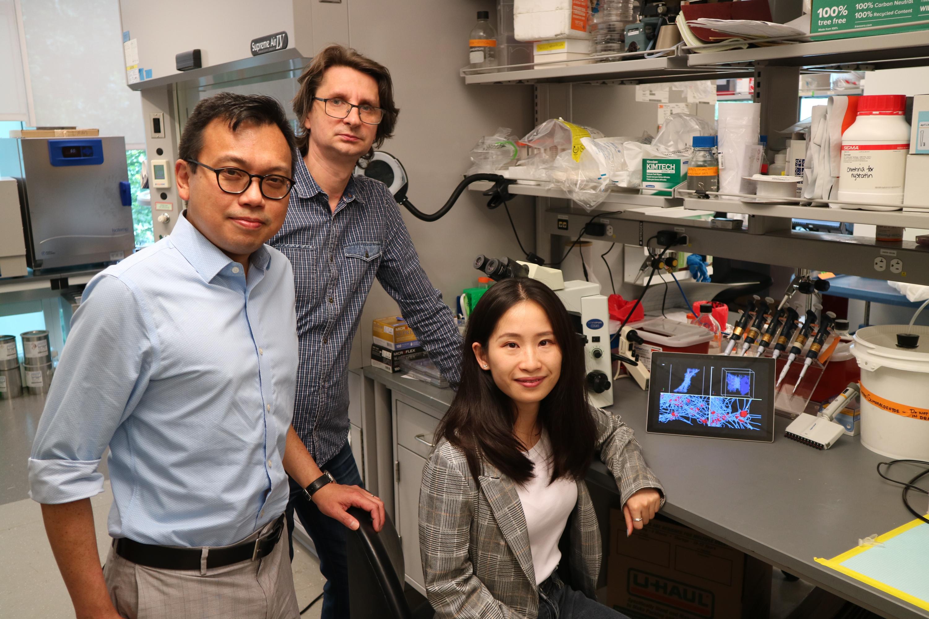 (L to R) Researchers Wilbur Lam, Alexander Alexeev and Yueyi Sun hope their findings open medical options for people with clotting issues. (Photo Credit: Reginald Tran, Georgia Tech)
