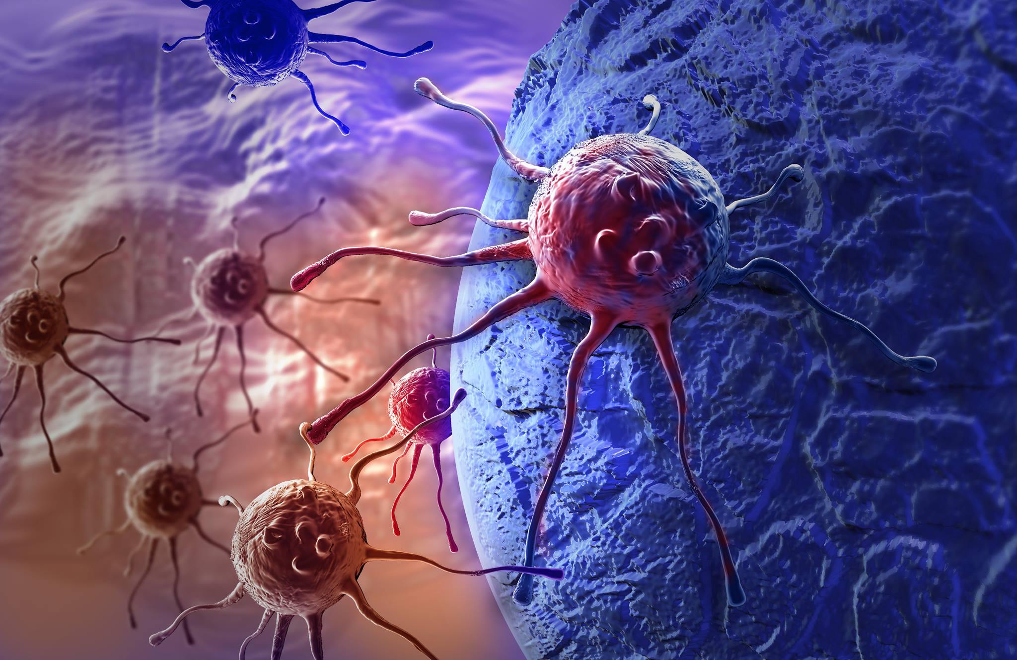 Artist rendering of cancer cells wandering. Credit: Purchased from iStock to illustrate this story. Rights not transferable. Artist rendering of cancer cells wandering. Credit: Purchased from iStock to illustrate this story. Rights not transferable.