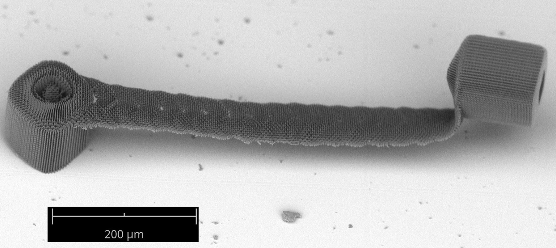 Overhanging 3D structures printed by stitching multiple 2D projections, demonstrating the ability to print depth-resolved features. The bridge structure, with 90-degree overhangs, is challenging to print using serial scanning TPL techniques. (Credit: Vu Nguyen and Sourabh Saha)