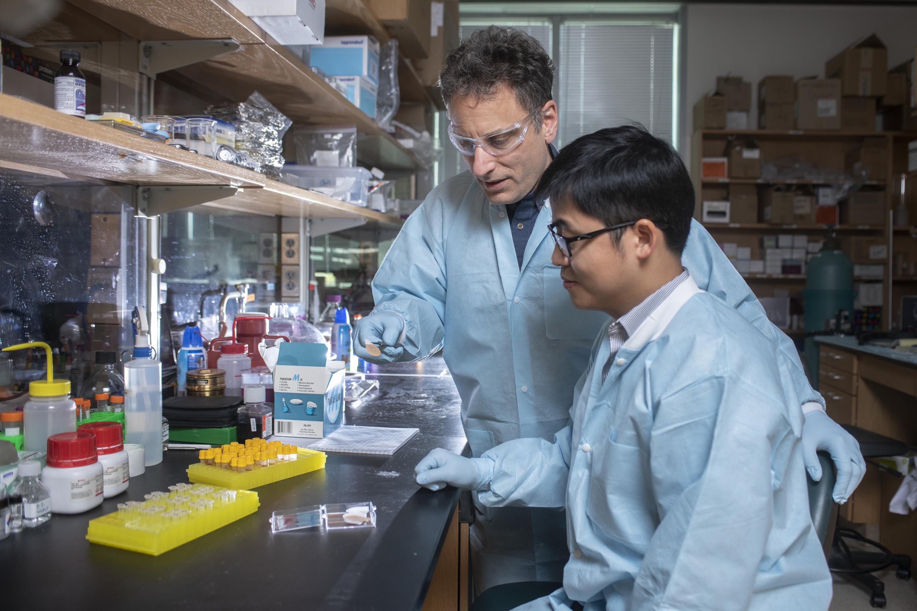 Regents Professor Mark Prausnitz and postdoctoral research scholar Wei Li examine an experimental microneedle contraceptive skin patch. Designed to be self-administered by women for long-acting contraception, the patch could provide a new family planning option. (Credit: Christopher Moore, Georgia Tech) Regents Professor Mark Prausnitz and postdoctoral research scholar Wei Li examine an experimental microneedle contraceptive skin patch. Designed to be self-administered by women for long-acting contraception, the patch could provide a new family planning option. (Credit: Christopher Moore, Georgia Tech)